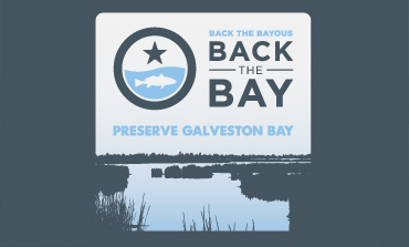 BackTheBay
