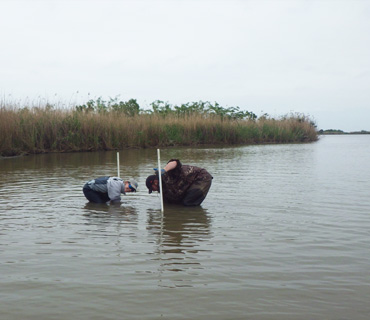 Characterization Of The Influence Of Freshwater
