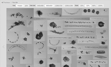 Cytobot Dashboard