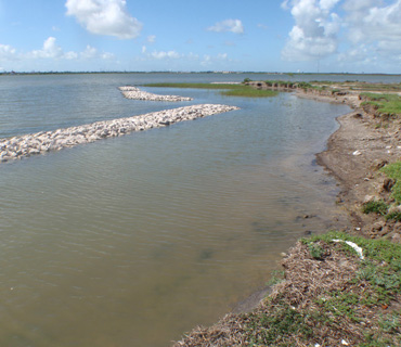 Dollar Bay