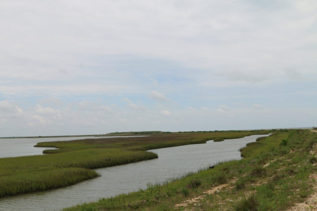 galveston-bay-101-gbep