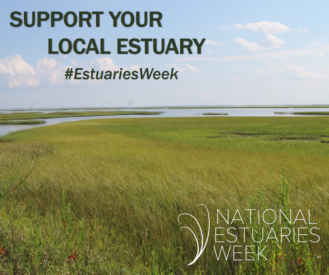 Picture of a wetland in Galveston Bay with the Estuary Week logo and the hashtag.