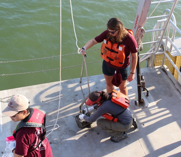 Image of scientists collecting a sediment sample.