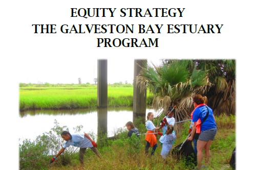 Equity Strategy Cover_crop
