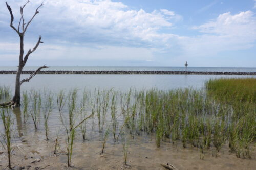 Galveston Bay at Smith Point