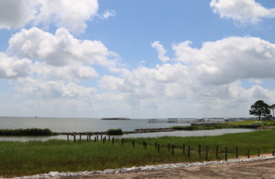 IMG_4037 IMG_4037